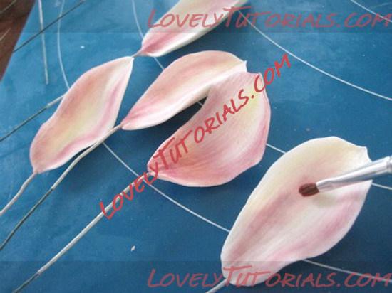 ��������: orchid flower tutorial 13_resize.jpg
����������: 21

������: 68.6 ��