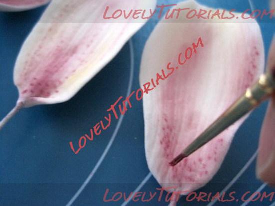 ��������: orchid flower tutorial 14_resize.jpg
����������: 17

������: 53.7 ��