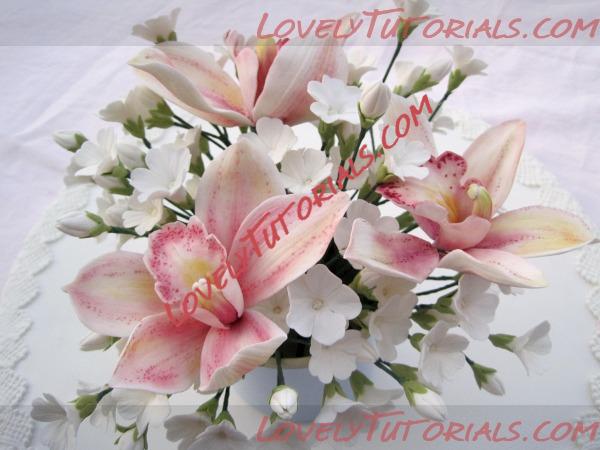 ��������: orchid flower tutorial 5.jpg
����������: 21

������: 77.5 ��