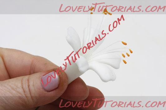 ��������: 5.jpg
����������: 0

������: 17.0 ��