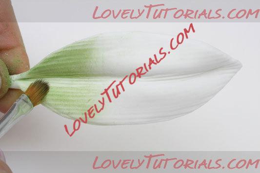 ��������: 20.jpg
����������: 0

������: 15.1 ��