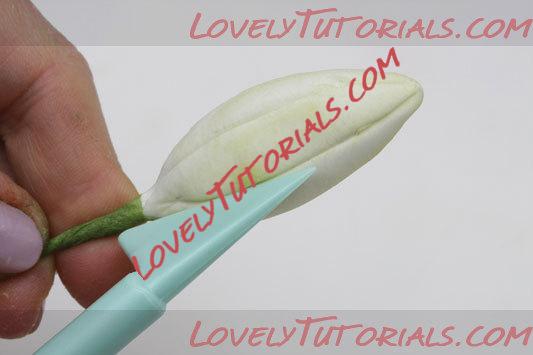 ��������: 28.jpg
����������: 0

������: 16.6 ��