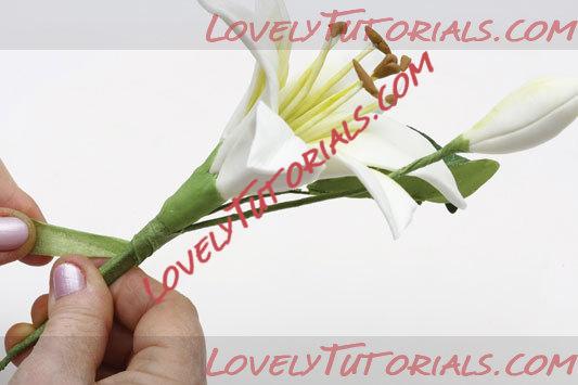 ��������: 29.jpg
����������: 1

������: 23.2 ��