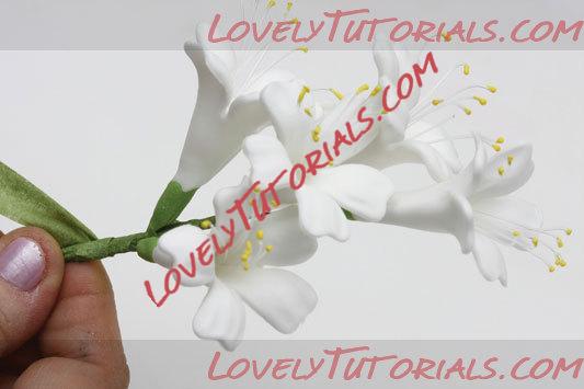 ��������: 30.jpg
����������: 0

������: 19.8 ��