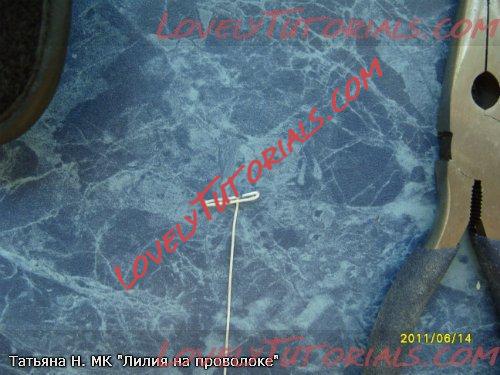 ��������: 1.jpg
����������: 3

������: 44.9 ��