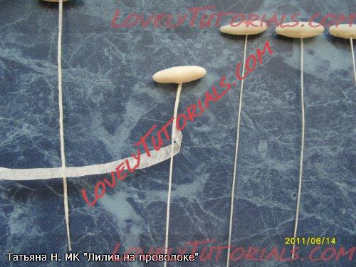 ��������: 7.jpg
����������: 2

������: 46.6 ��