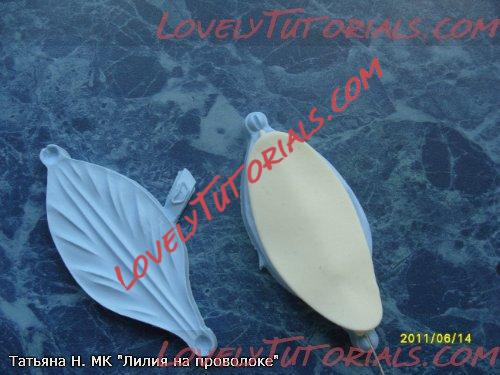 ��������: 14.jpg
����������: 2

������: 38.6 ��