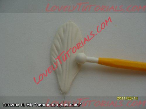 ��������: 15.jpg
����������: 2

������: 15.7 ��