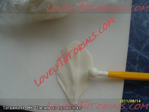 ��������: 16.jpg
����������: 2

������: 19.6 ��