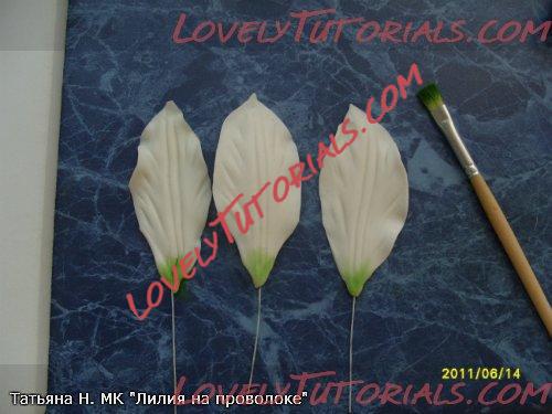 ��������: 17.jpg
����������: 2

������: 35.6 ��