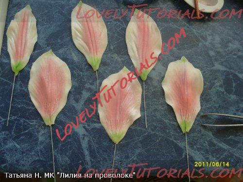 ��������: 18.jpg
����������: 2

������: 42.0 ��