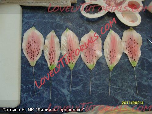 ��������: 19.jpg
����������: 2

������: 42.2 ��