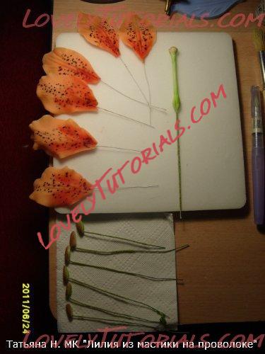 ��������: 20.jpg
����������: 7

������: 31.1 ��