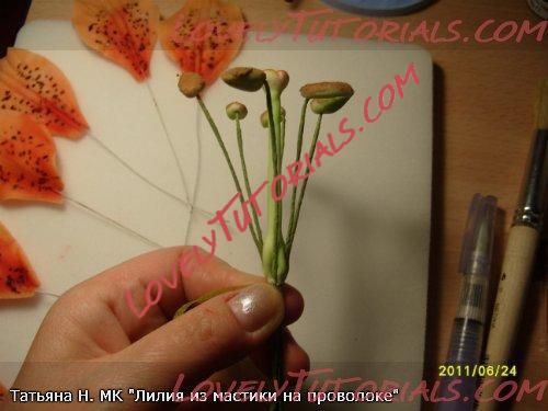 ��������: 21.jpg
����������: 2

������: 30.7 ��