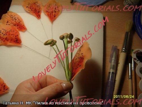 ��������: 22.jpg
����������: 4

������: 32.6 ��