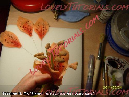 ��������: 23.jpg
����������: 5

������: 33.4 ��