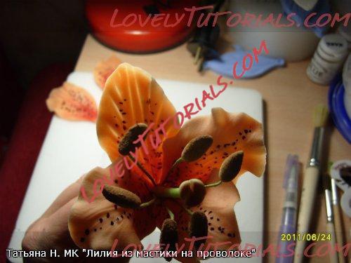 ��������: 24.jpg
����������: 2

������: 33.0 ��