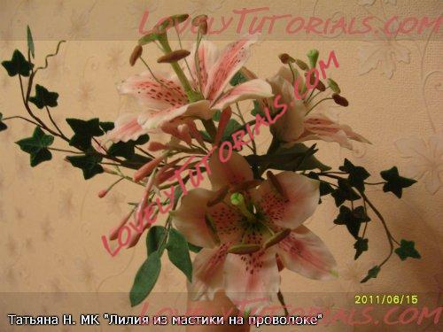 ��������: 25.jpg
����������: 0

������: 39.4 ��