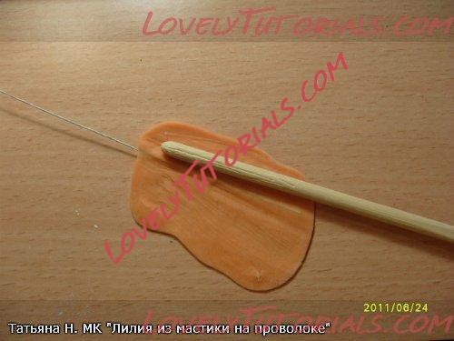 ��������: 29.jpg
����������: 3

������: 28.8 ��