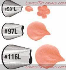 ��������: Left Handed Petal Tip Set.jpg
����������: 140

������: 512.7 ��