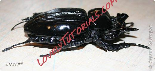 Название: 9.jpg
Просмотров: 0

Размер: 24.9 Кб