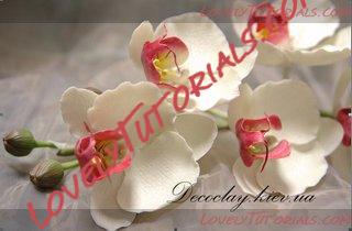 Название: Orchid Flower Sculpt N 1 Step 1.jpg
Просмотров: 12

Размер: 30.2 Кб