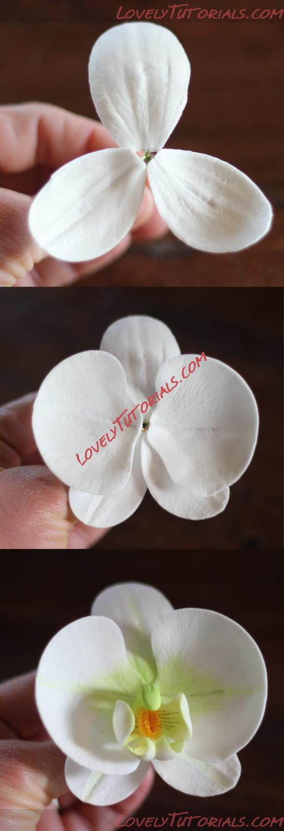 Название: Orchid Flower Sculpt N 2 Step 7.jpg
Просмотров: 23

Размер: 62.0 Кб