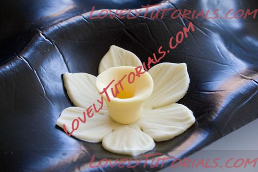 Название: How-to-make-a-gum-paste-daffodil-10.jpg
Просмотров: 13
Размер: 68.8 Кб Название: How-to-make-a-gum-paste-daffodil-10.jpg
Просмотров: 13
Размер: 68.8 Кб
