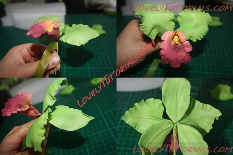 Название: Flower Paste Brassoleliocattles Step 9.jpg
Просмотров: 19

Размер: 95.3 Кб