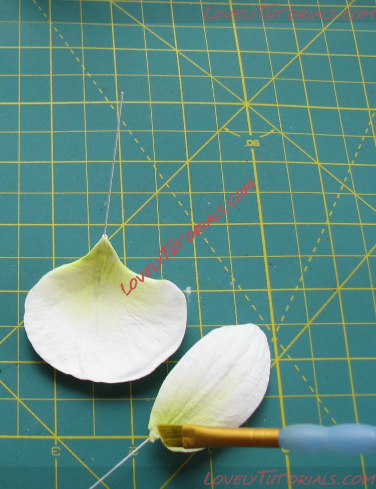 Название: Orchid Flower Sculpt Tutorial N 3 Step 24.jpg
Просмотров: 0

Размер: 165.7 Кб