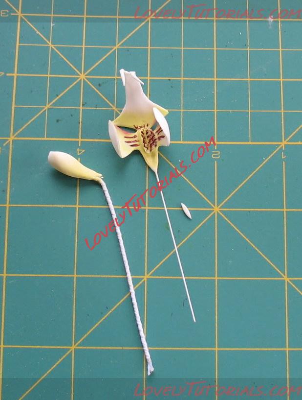Название: Orchid Flower Sculpt Tutorial N 3 Step 26.jpg
Просмотров: 4

Размер: 117.5 Кб