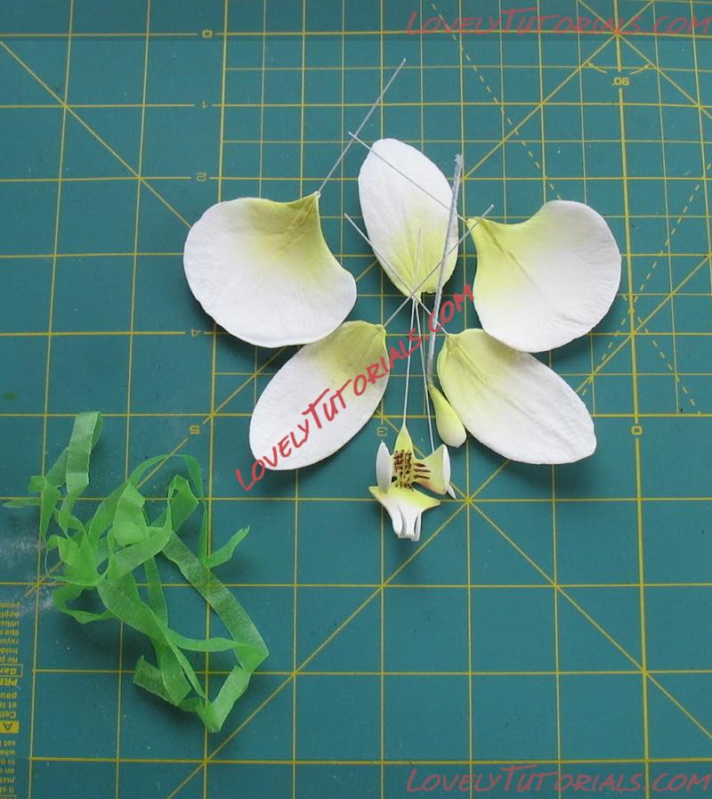 Название: Orchid Flower Sculpt Tutorial N 3 Step 27.jpg
Просмотров: 19

Размер: 172.8 Кб