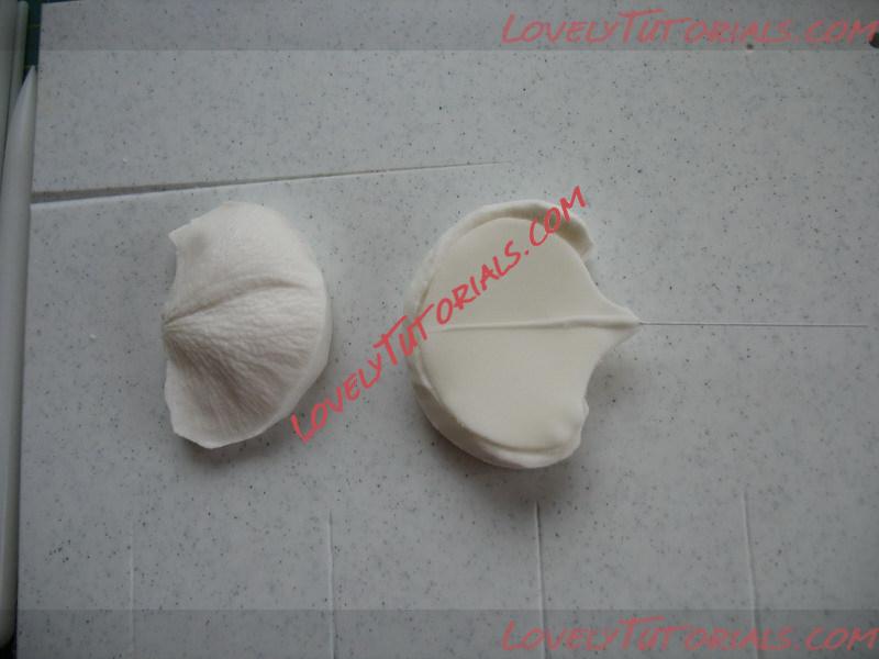 Название: Orchid Flower Sculpt Tutorial N 3 Step 7.jpg
Просмотров: 7

Размер: 80.0 Кб