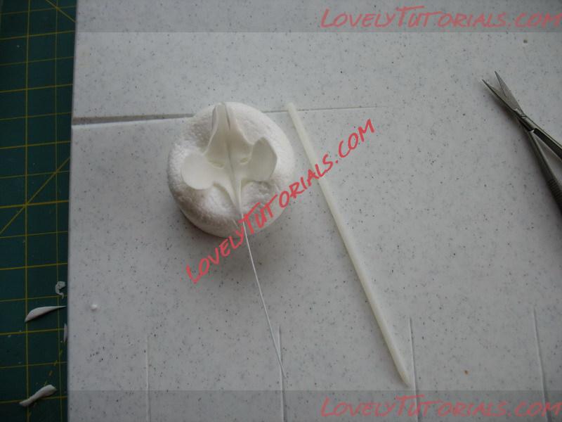 Название: Orchid Flower Sculpt Tutorial N 3 Step 12.jpg
Просмотров: 1

Размер: 88.3 Кб