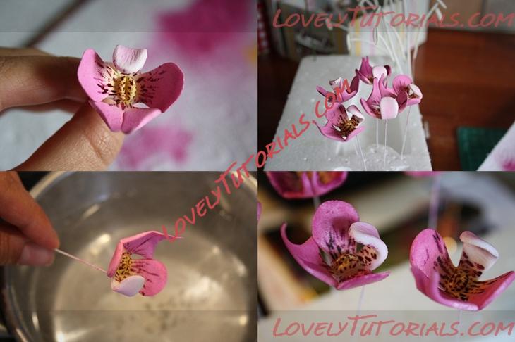 Название: Orchid Flower Sugar Sculpt Tutorial N 4 Step 15.jpg
Просмотров: 1

Размер: 225.9 Кб