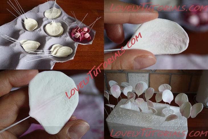 Название: Orchid Flower Sugar Sculpt Tutorial N 4 Step 16.jpg
Просмотров: 2

Размер: 239.0 Кб