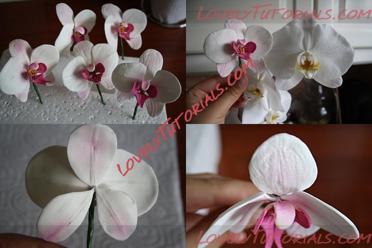 Название: Orchid Flower Sugar Sculpt Tutorial N 4 Step 18.jpg
Просмотров: 2

Размер: 231.3 Кб