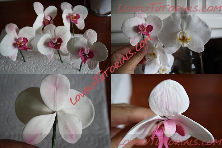 Название: Orchid Flower Sugar Sculpt Tutorial N 4 Step 18.jpg
Просмотров: 2

Размер: 231.3 Кб