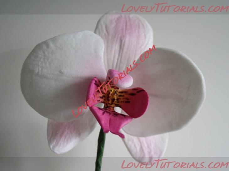 Название: Orchid Flower Sugar Sculpt Tutorial N 4 Step 19.jpg
Просмотров: 1

Размер: 177.2 Кб
