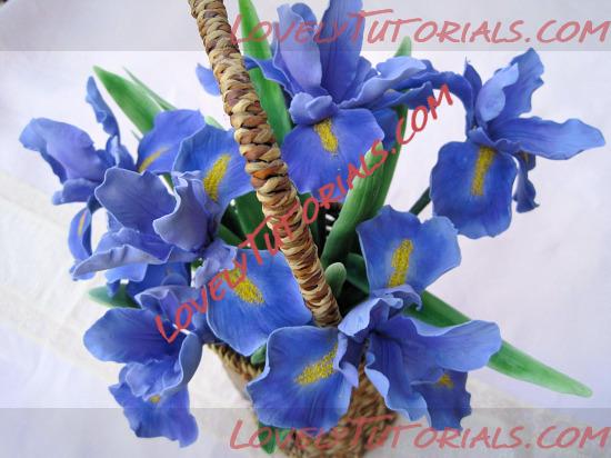 Название: iris flower tutorial 2.jpg
Просмотров: 1

Размер: 97.8 Кб