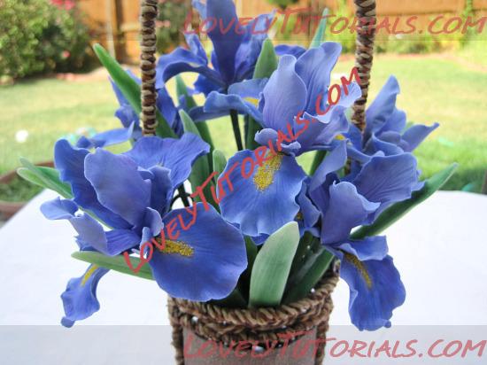 Название: iris flower tutorial 3.jpg
Просмотров: 0

Размер: 100.2 Кб