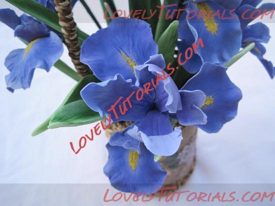 Название: iris flower tutorial 4.jpg
Просмотров: 0

Размер: 77.9 Кб