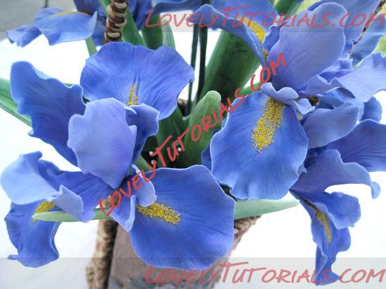 Название: iris flower tutorial 5.jpg
Просмотров: 0

Размер: 98.2 Кб