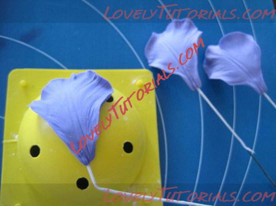 Название: iris flower tutorial 16_resize.jpg
Просмотров: 1

Размер: 56.8 Кб