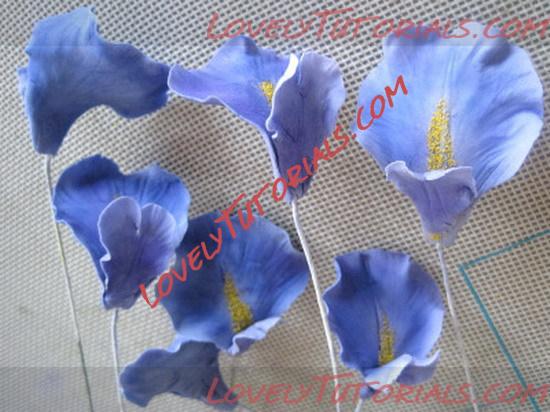 Название: iris flower tutorial 21_resize.jpg
Просмотров: 4

Размер: 88.7 Кб