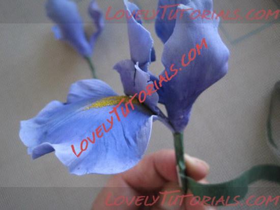 Название: iris flower tutorial 22_resize.jpg
Просмотров: 0

Размер: 53.6 Кб