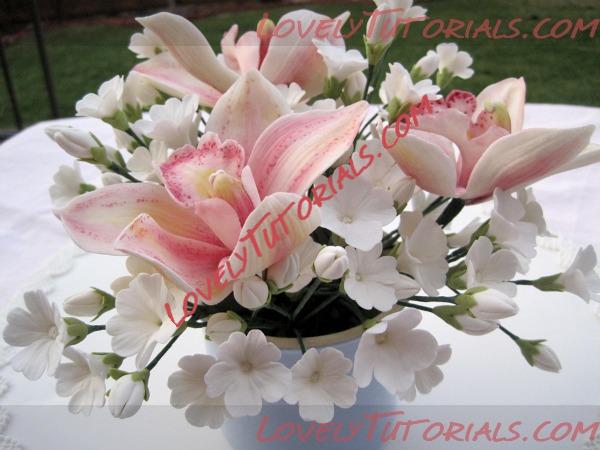Название: orchid flower tutorial.jpg
Просмотров: 22

Размер: 81.1 Кб