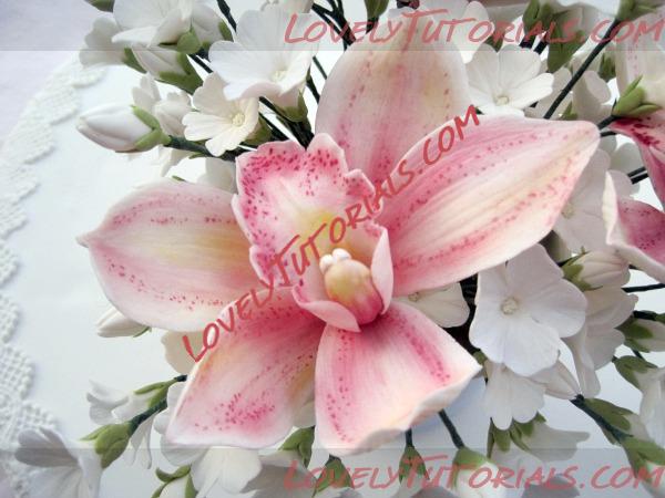 Название: orchid flower tutorial 4.jpg
Просмотров: 23

Размер: 84.1 Кб