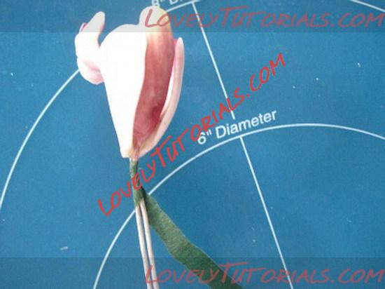 Название: orchid flower tutorial 16_resize.jpg
Просмотров: 10

Размер: 55.1 Кб