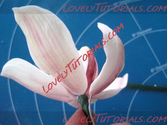 Название: orchid flower tutorial 19_resize.jpg
Просмотров: 11

Размер: 57.6 Кб